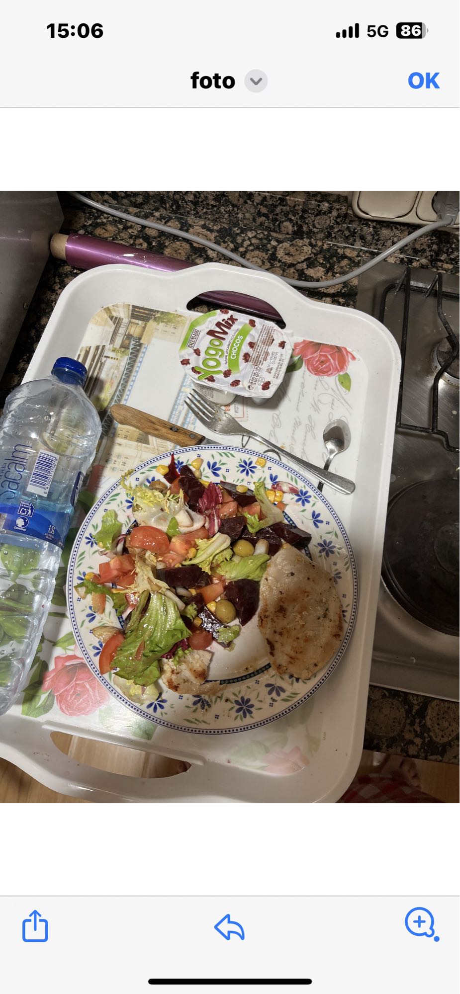 Salade et poulet grillé