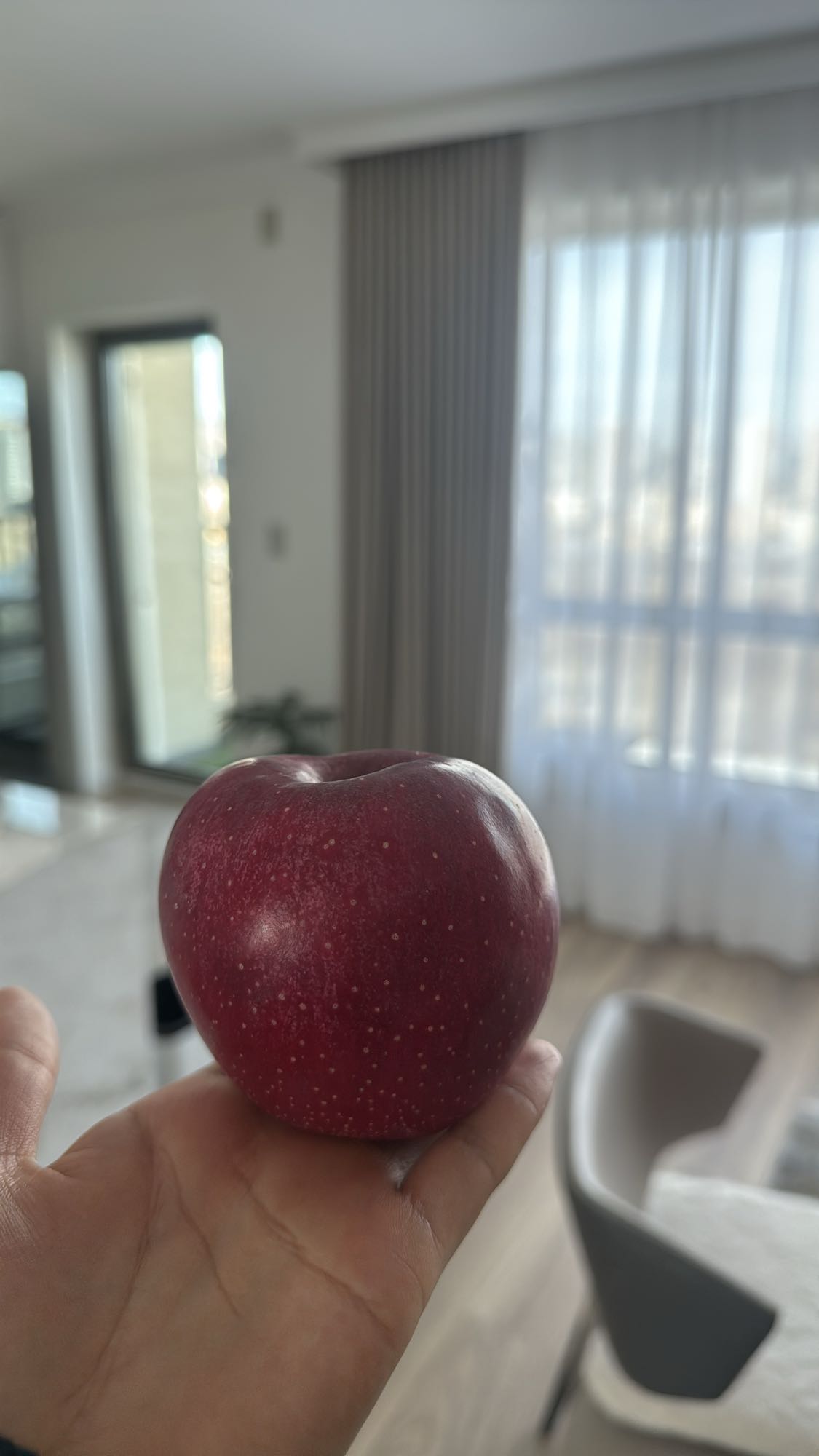 Red Apple Snack