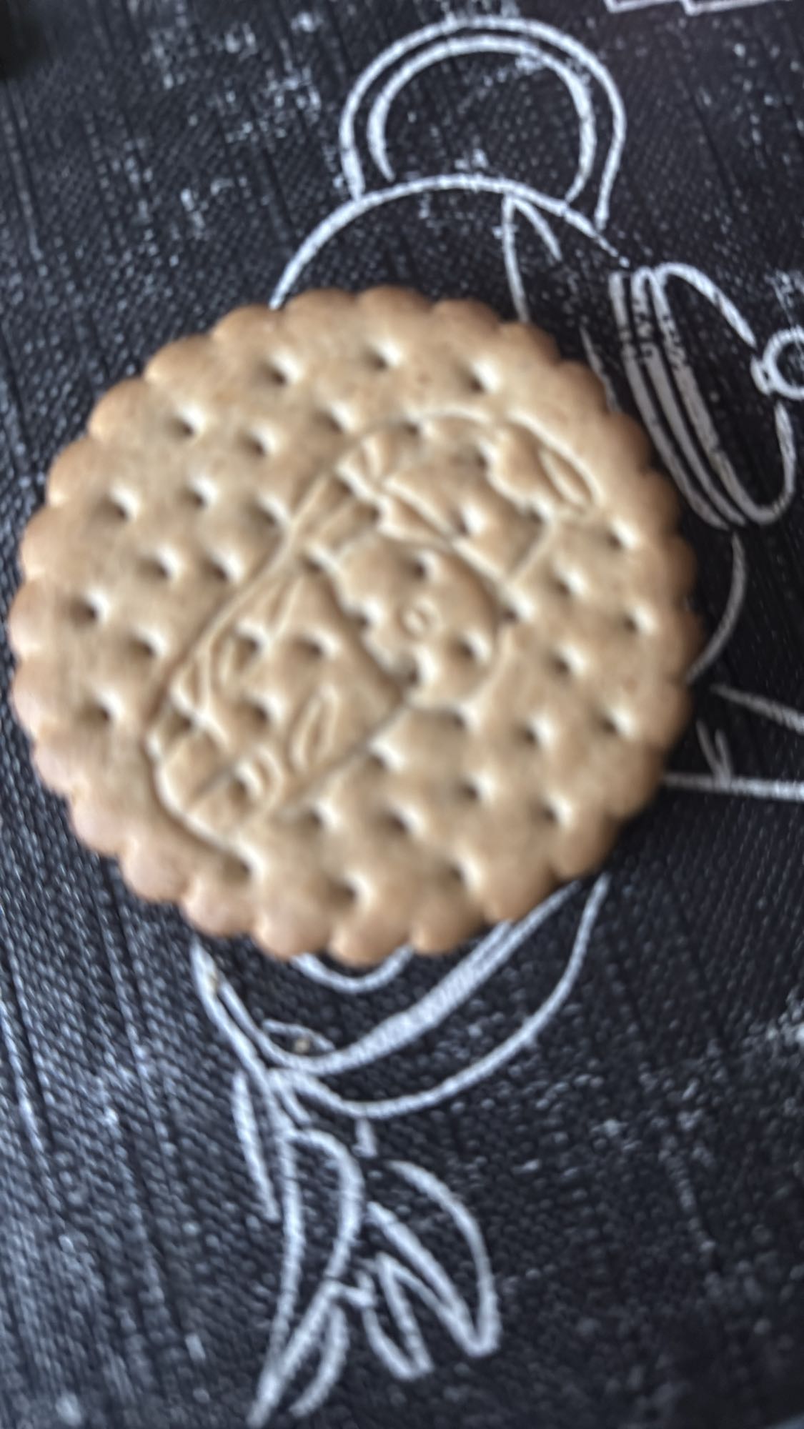 Biscuit sec nature