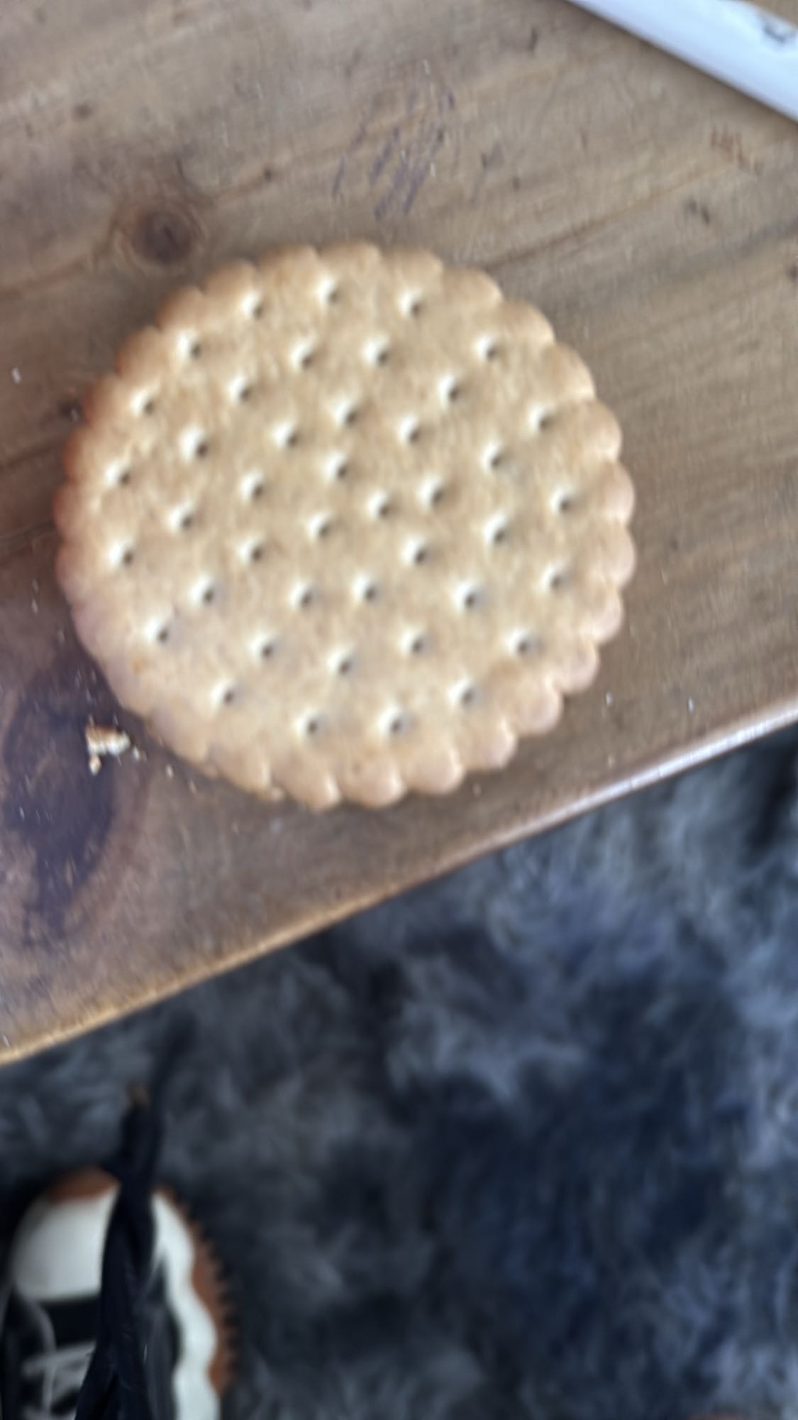 Biscuit sec nature