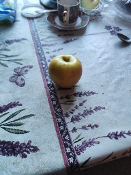 Fresh Apple Snack