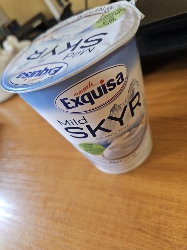 Mild Skyr Yogurt