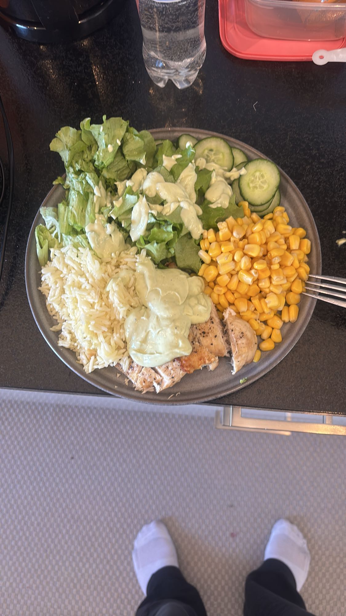 Kyckling med ris och sallad