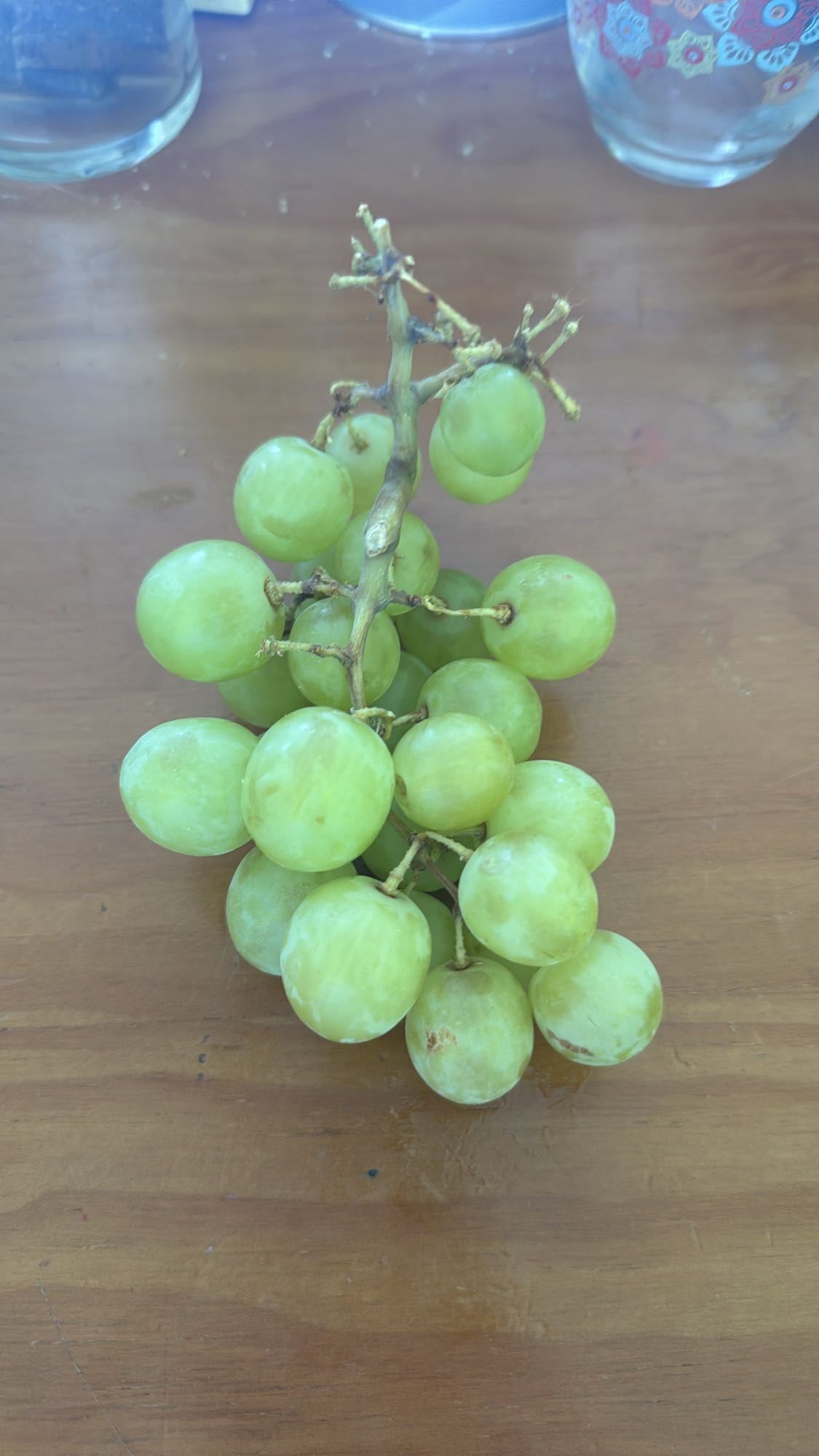 Uvas verdes frescas