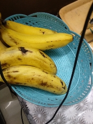 Fresh Bananas
