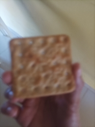 Plain Tea Biscuit