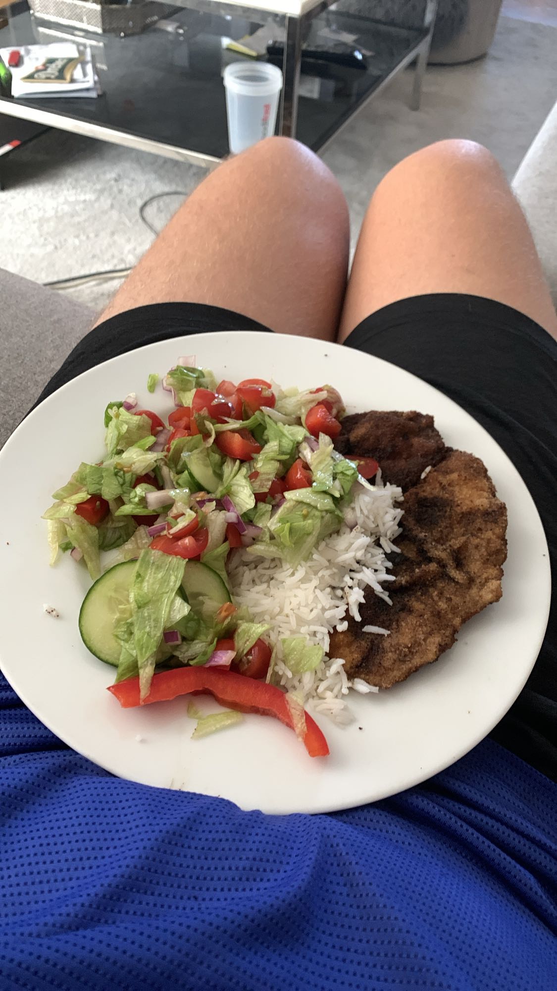 Ris med sallad och schnitzel