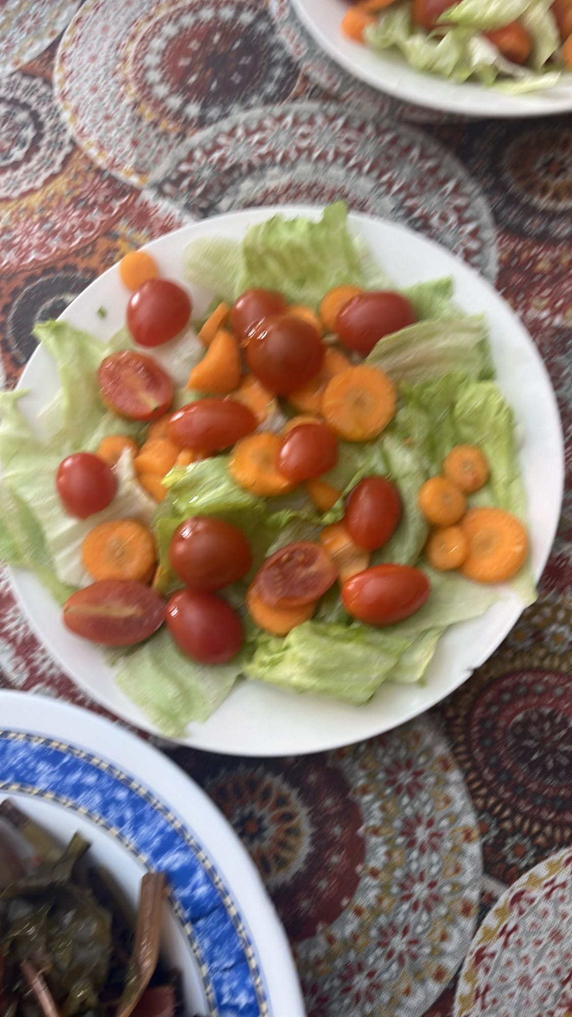 Ensalada fresca mixta