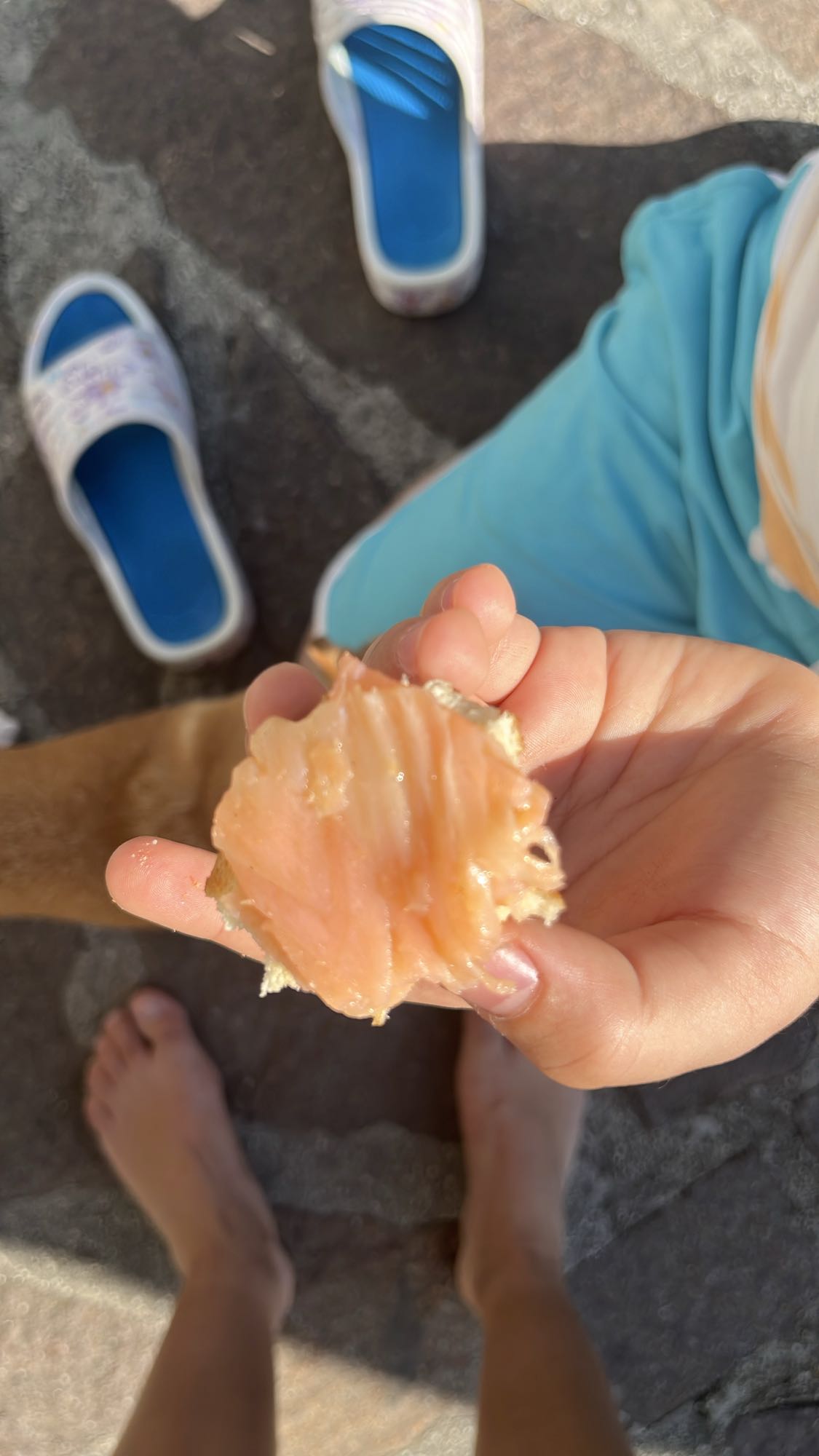Salmon on Bread Snack