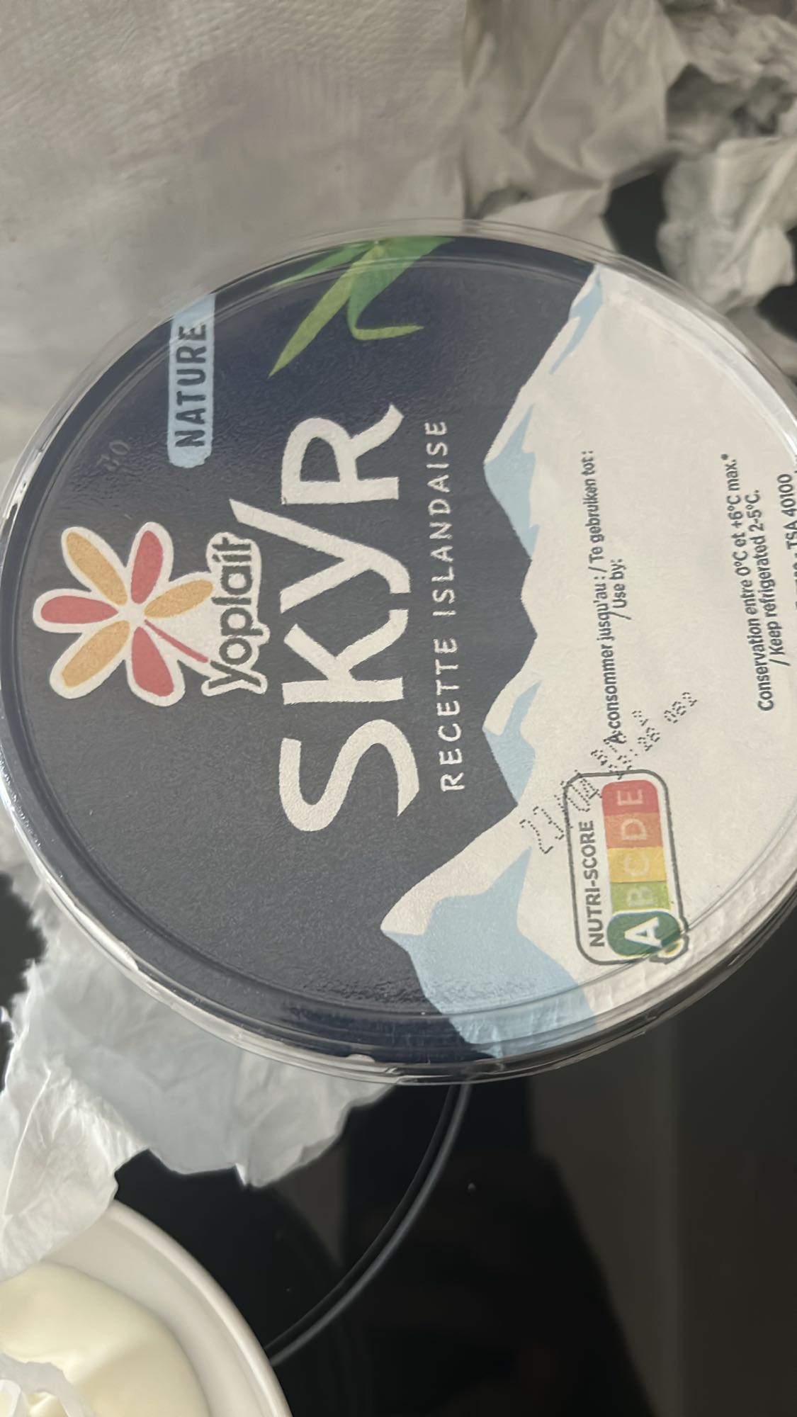 Skyr nature islandais