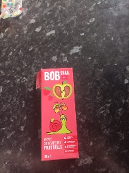 Apple Strawberry Fruit Rolls