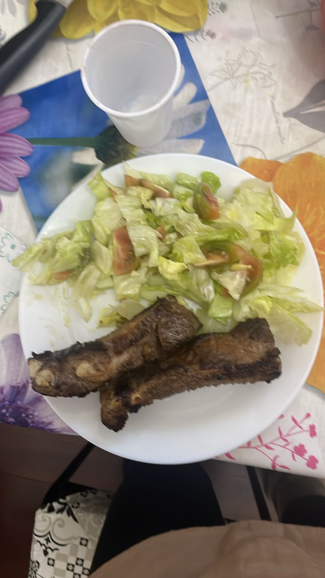 Grilled Ribs with Salad