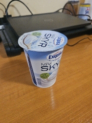 Mild Skyr Yogurt