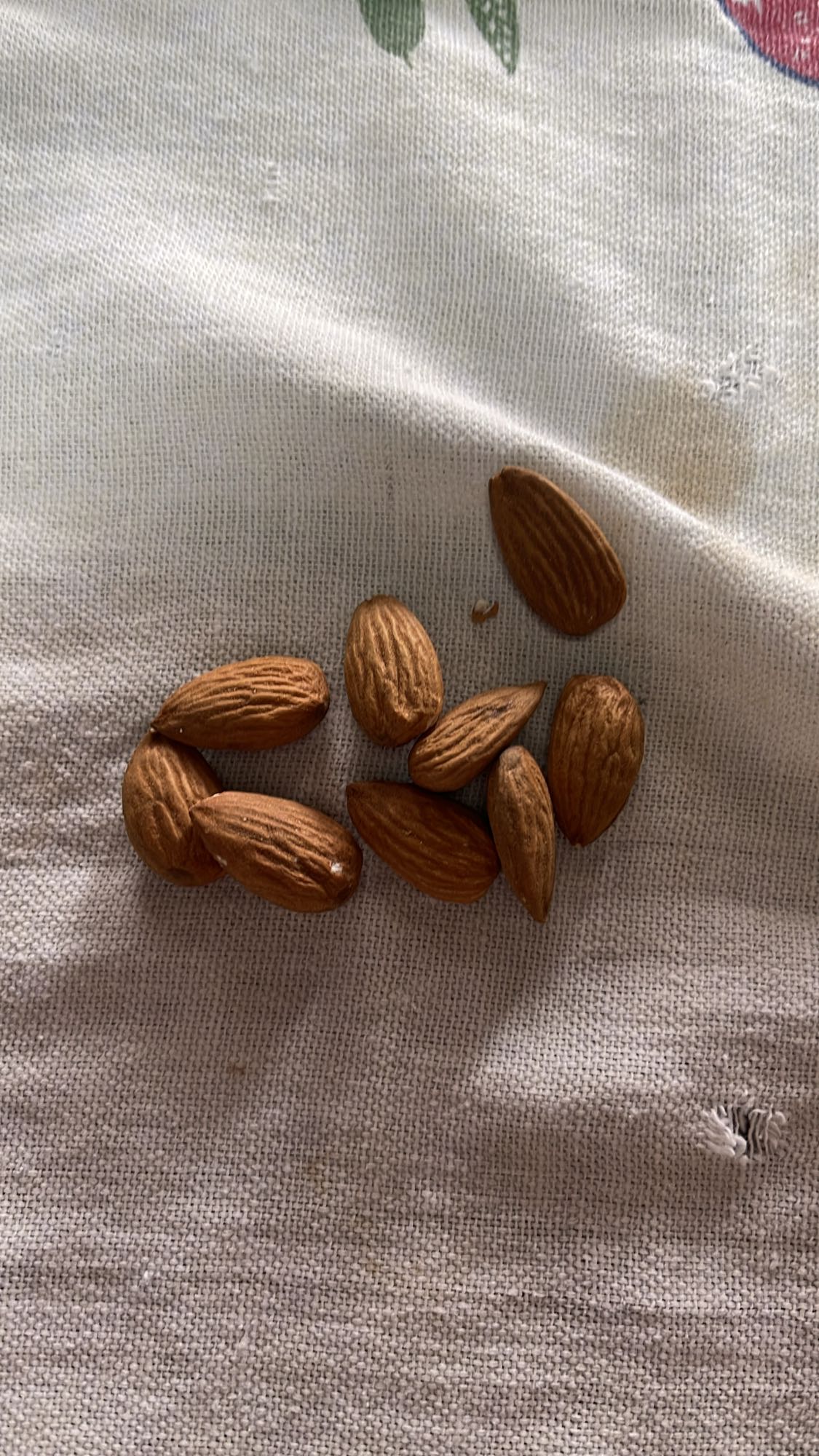 Raw Almond Snack