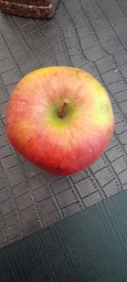 Roter Apfel