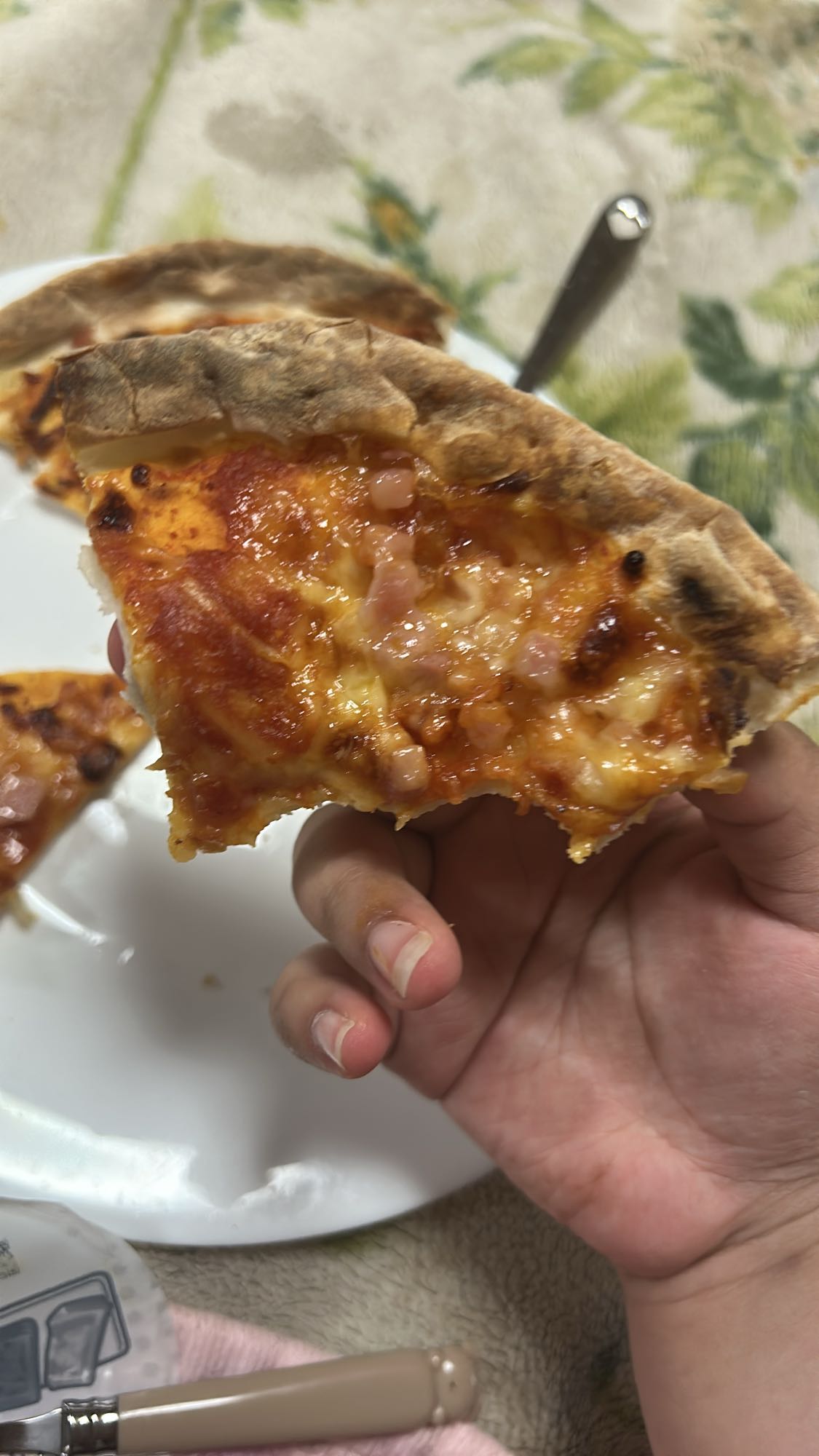 Cheese Ham Pizza Slice