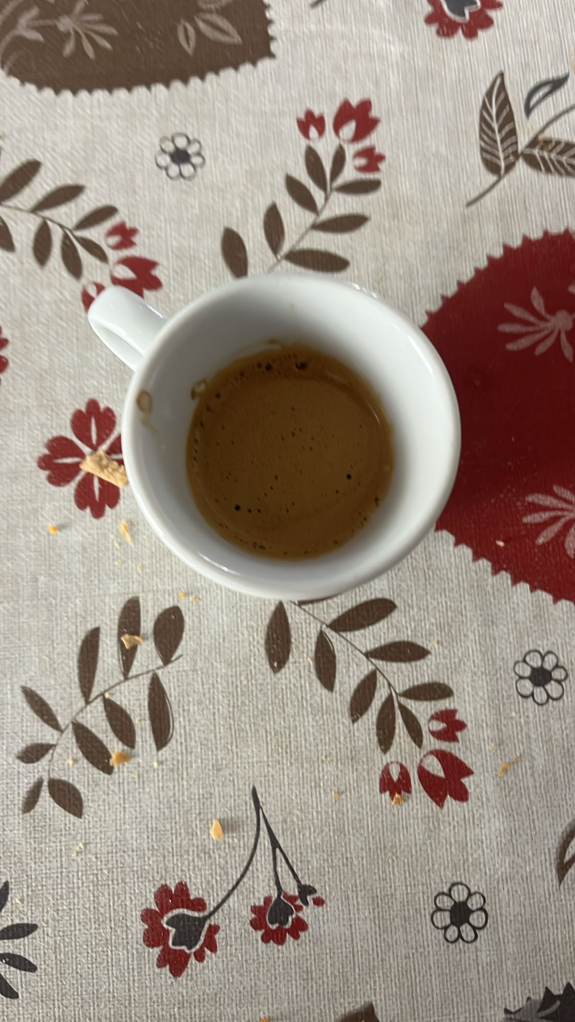 Espresso Shot