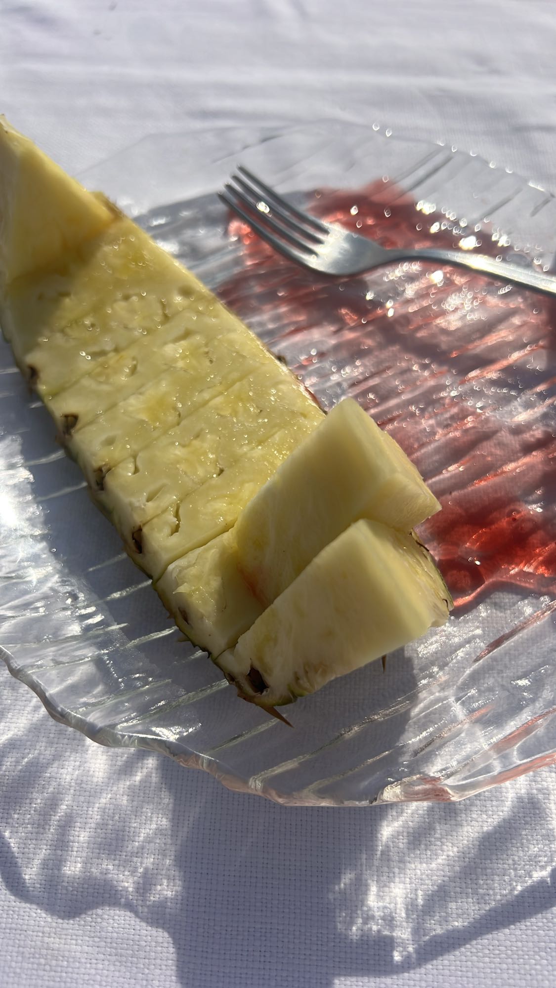 Fresh Pineapple Slice