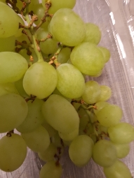 Green Grapes