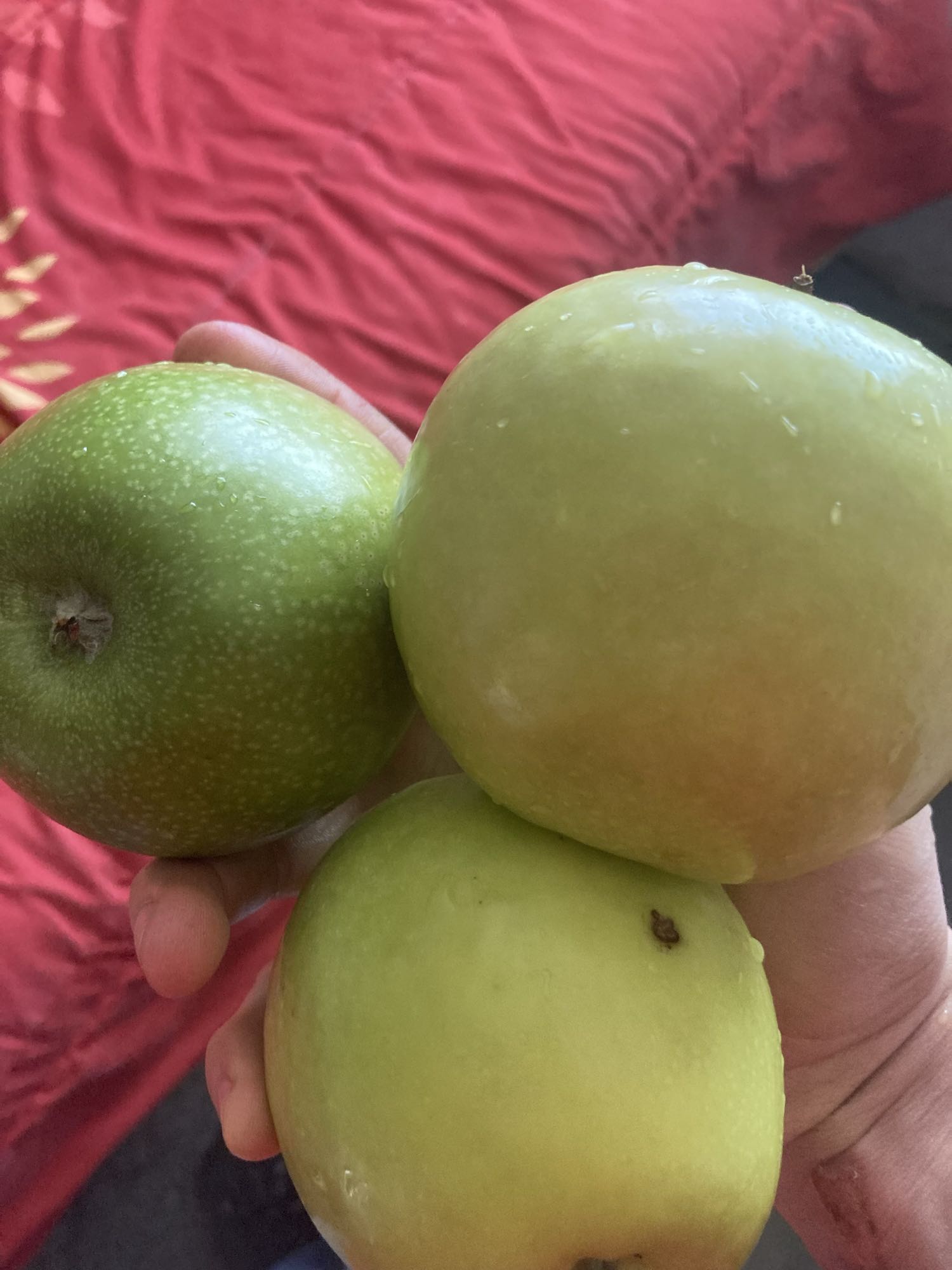 Manzanas verdes frescas