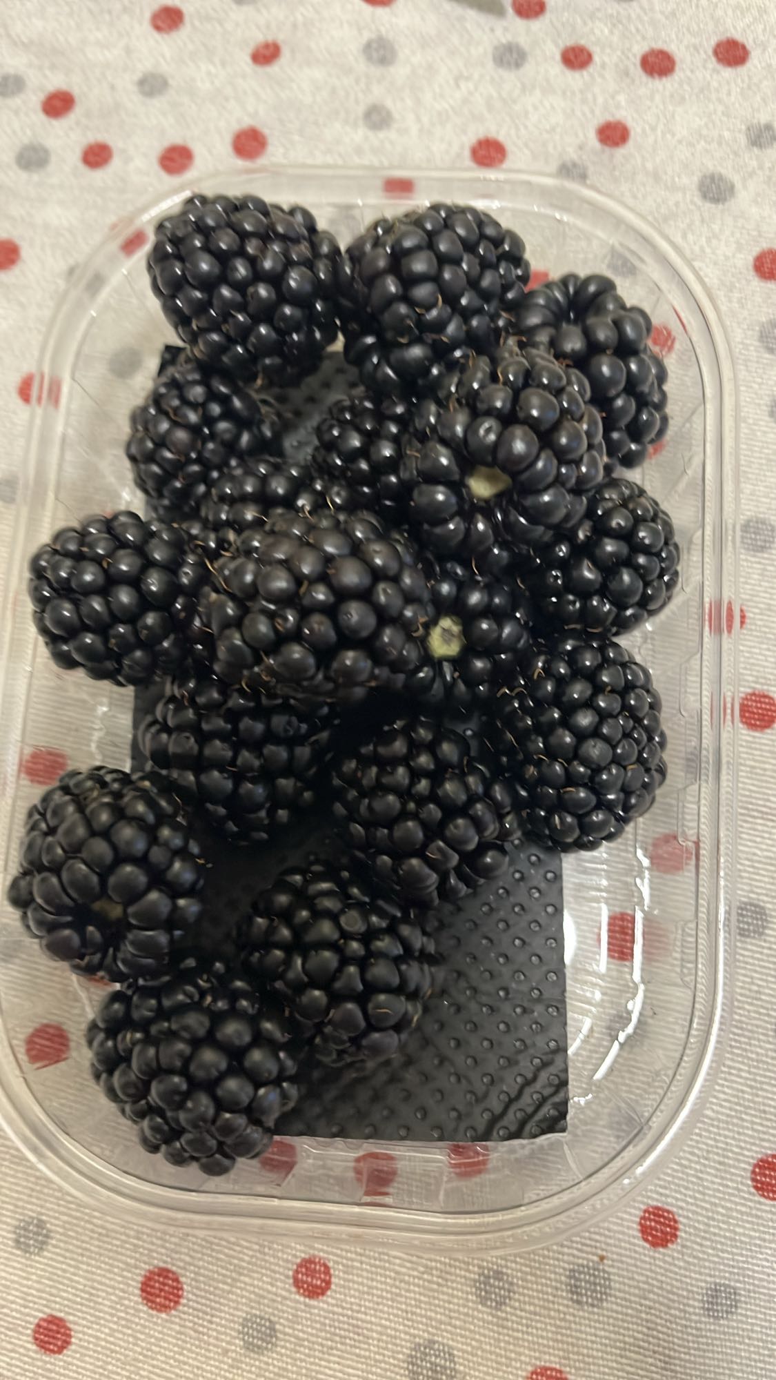 Fresh Blackberries