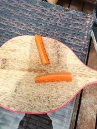 Bâtonnets de carotte