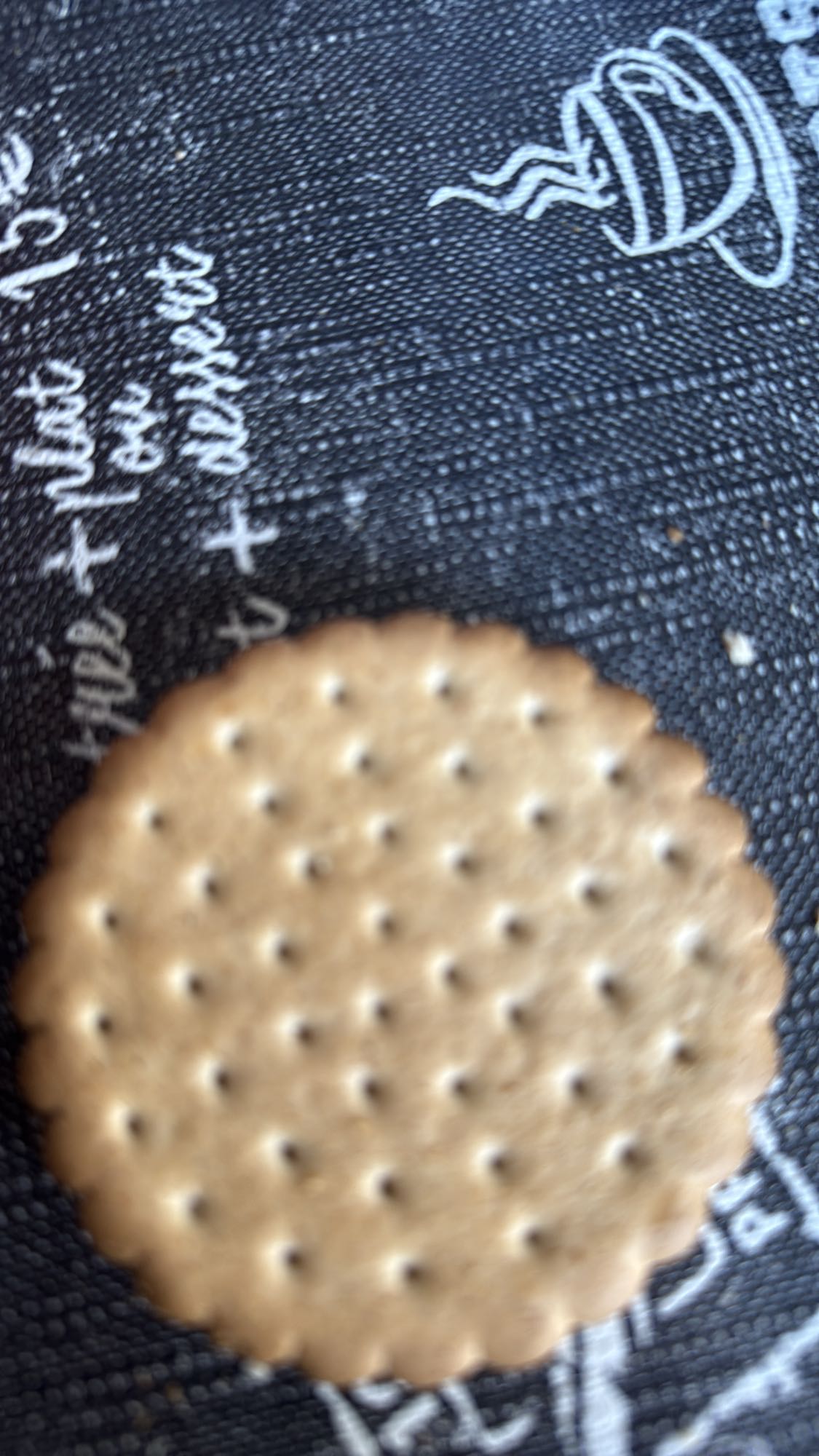 Biscuit sec nature