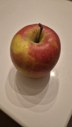 Fresh Apple