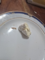 Kleines Stück Camembert