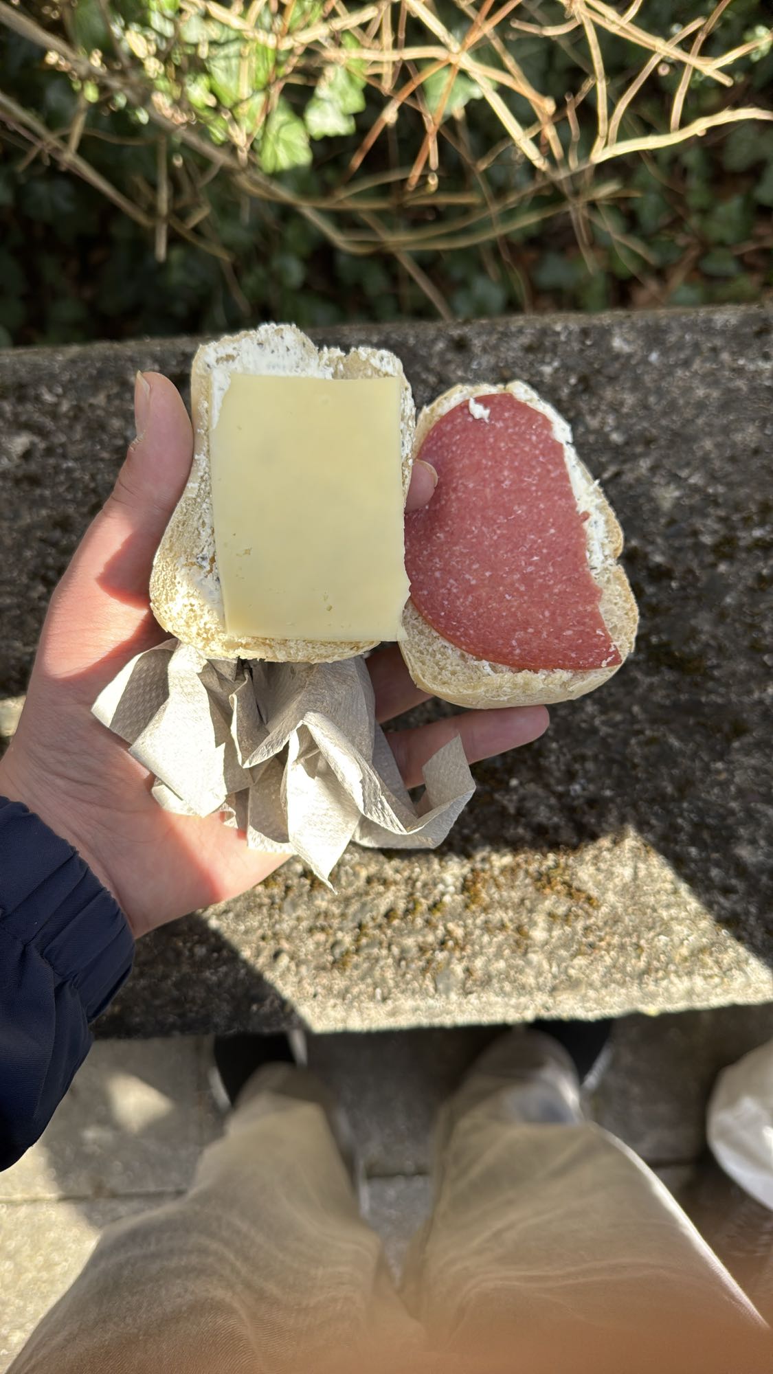 Käse-Salami-Brötchen