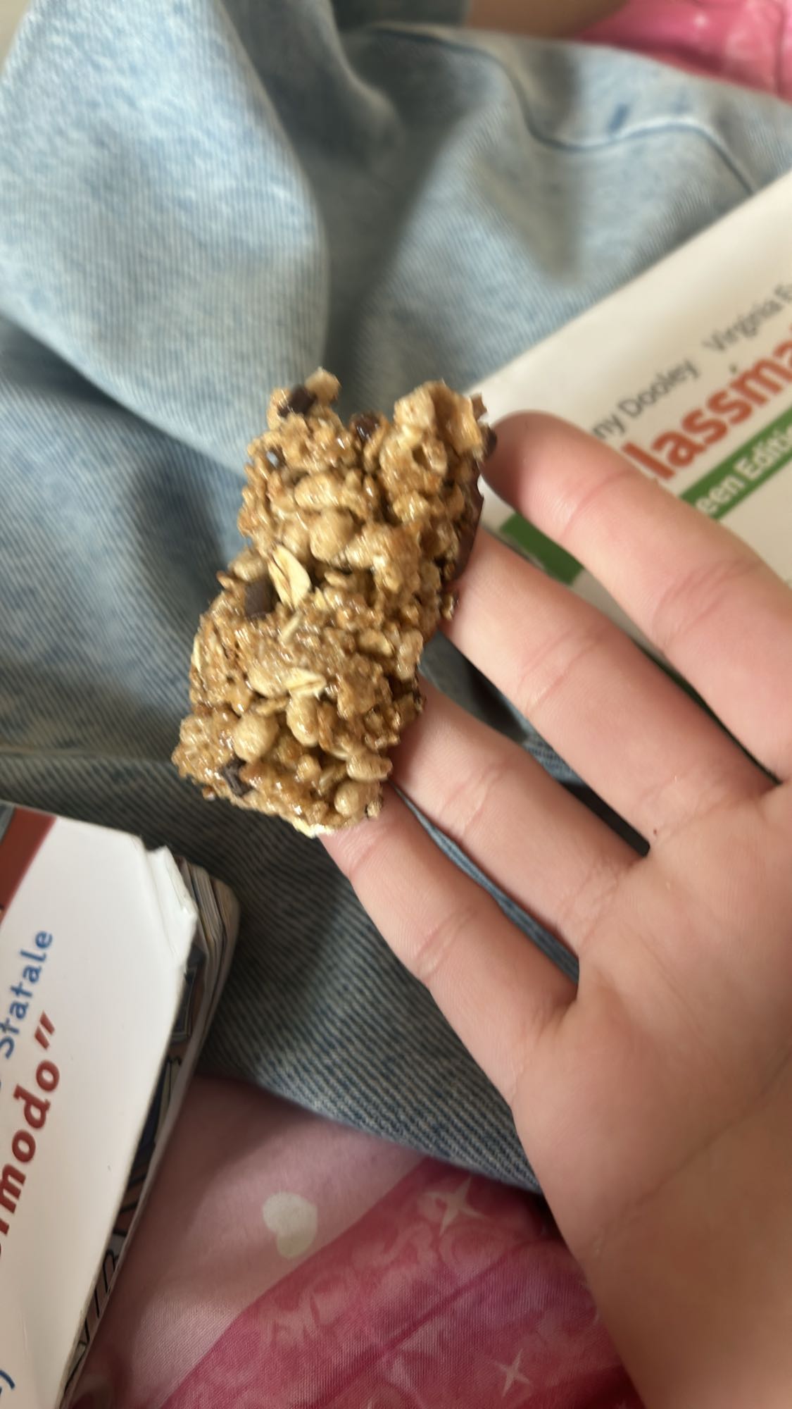 Chocolate Granola Bar