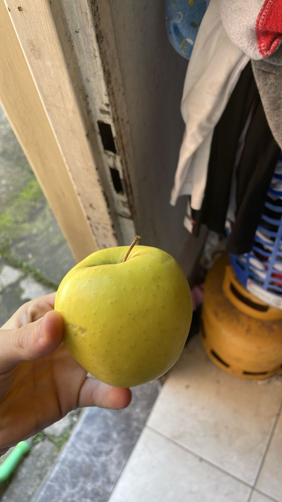Manzana amarilla