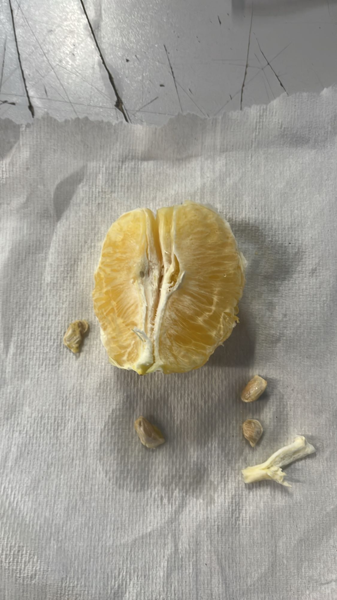 Połówka pomarańczy