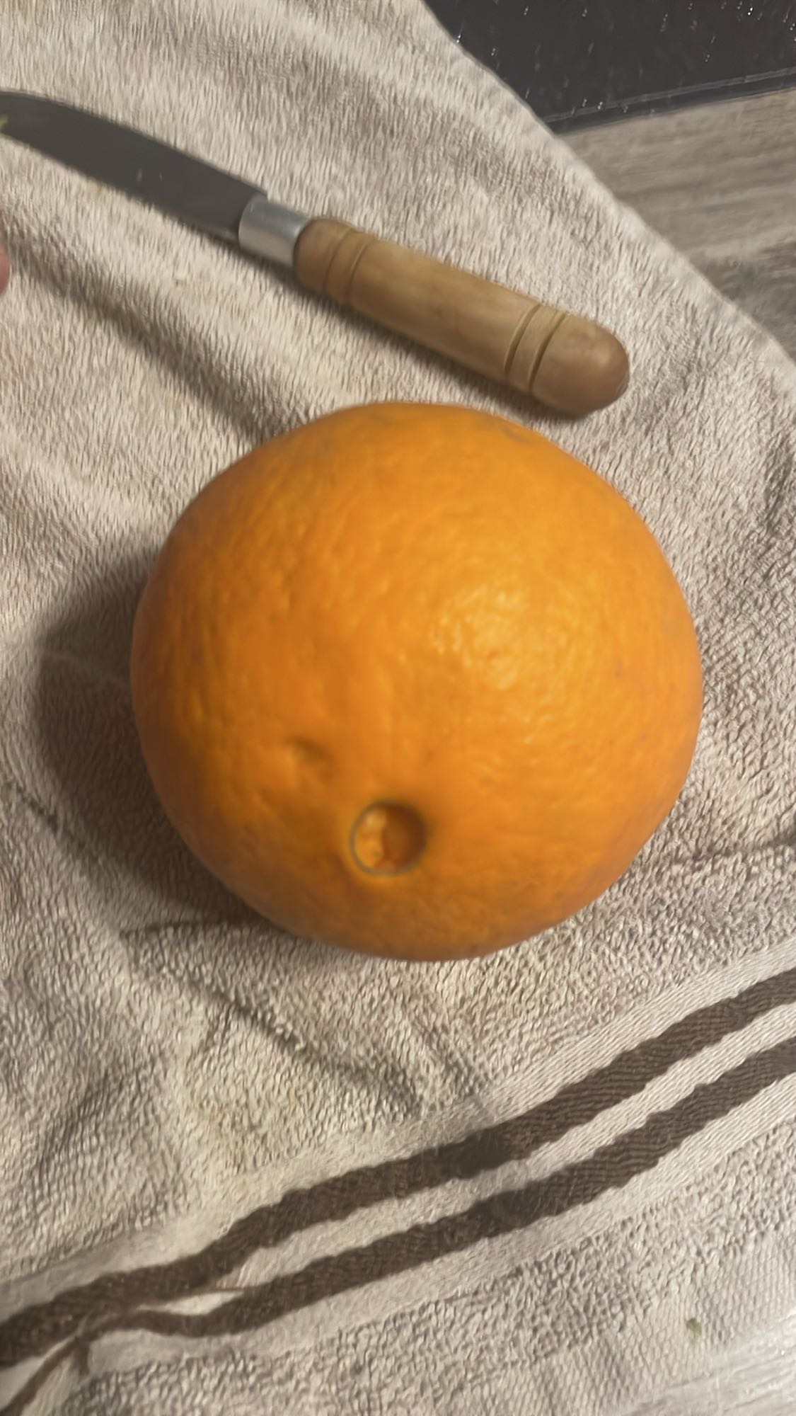Orange fraîche