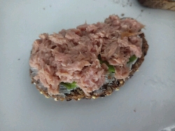 Tartine au thon