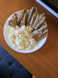 Rice and Pork Ribs
