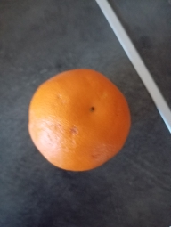Orange entière
