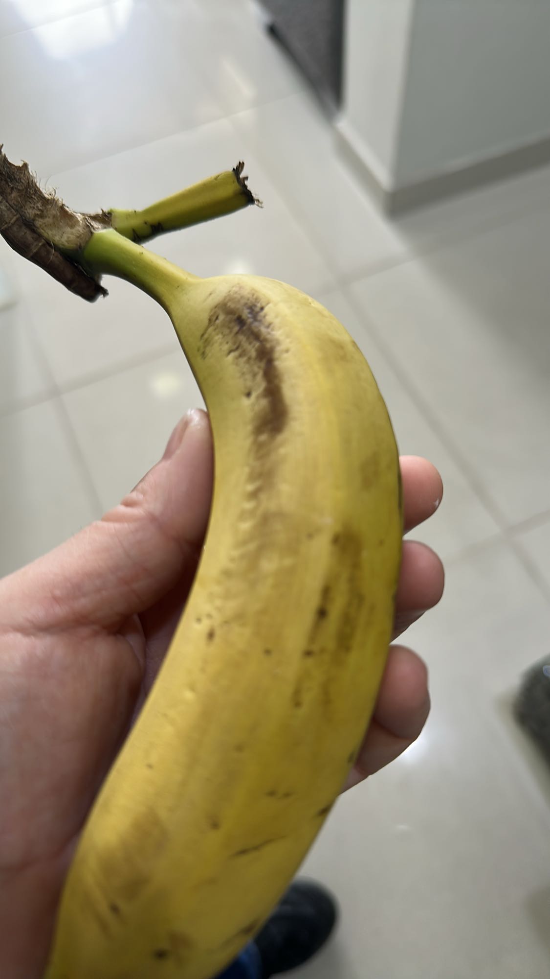 Single Banana Snack