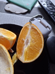 Fresh Orange Slices