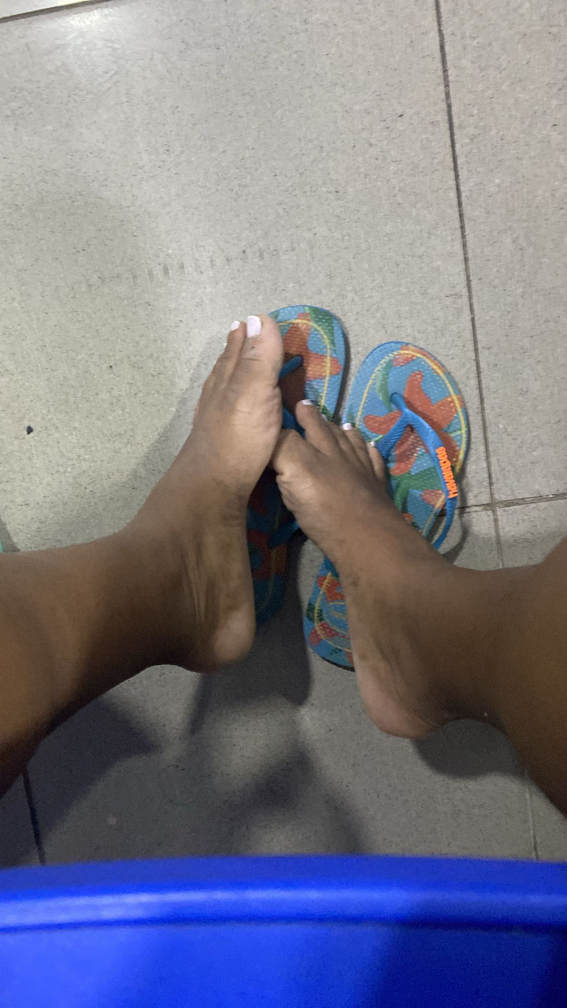 nenhuma refeição visível