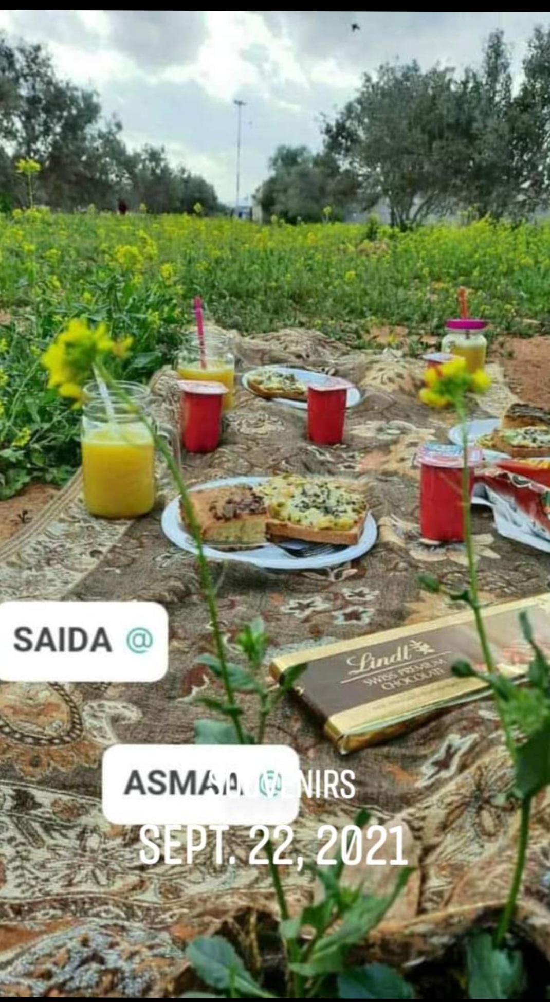 Pique-nique champêtre