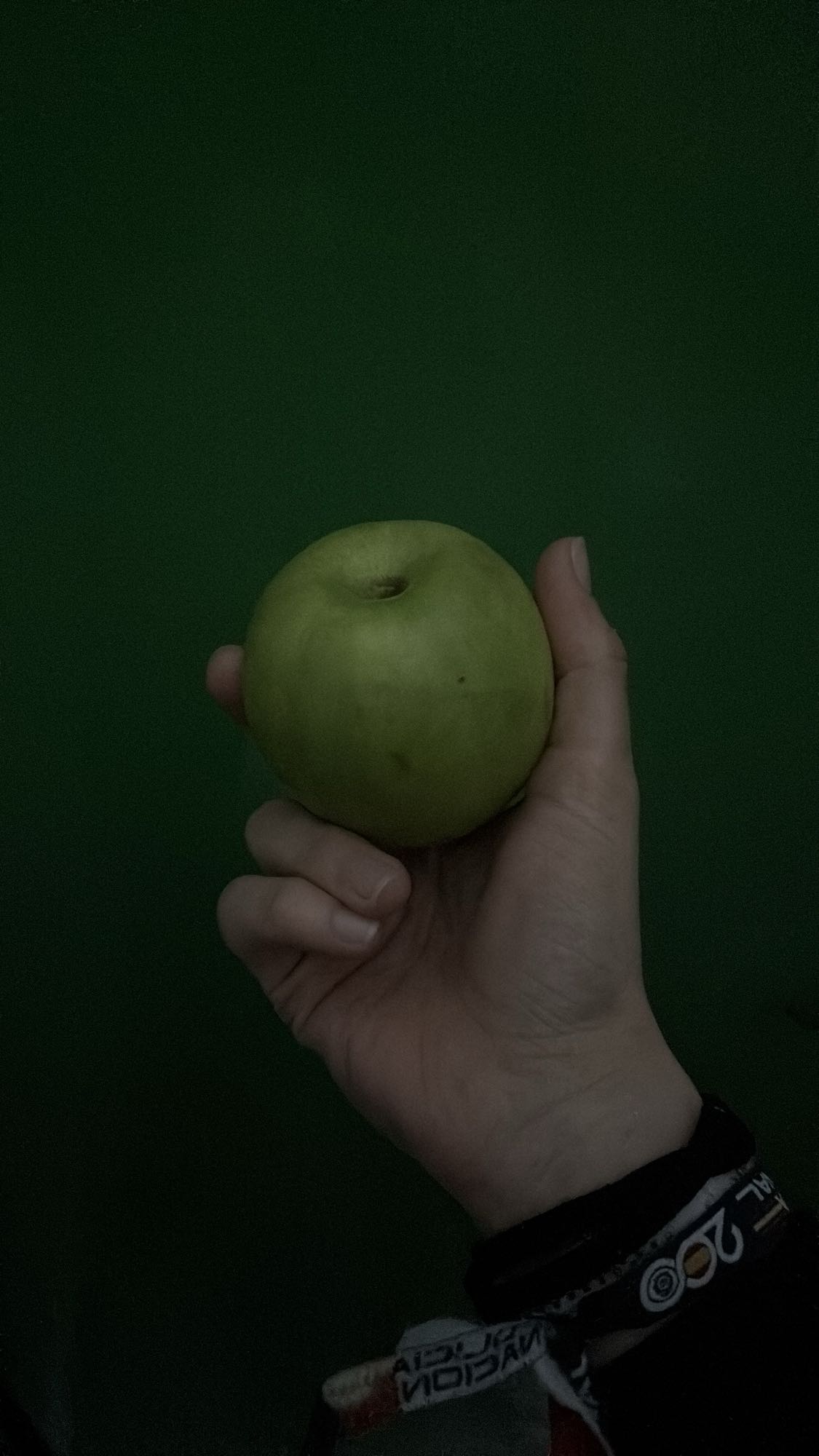Green Apple Snack
