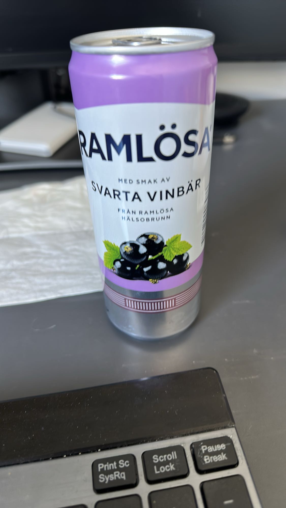 Ramlösa svarta vinbär