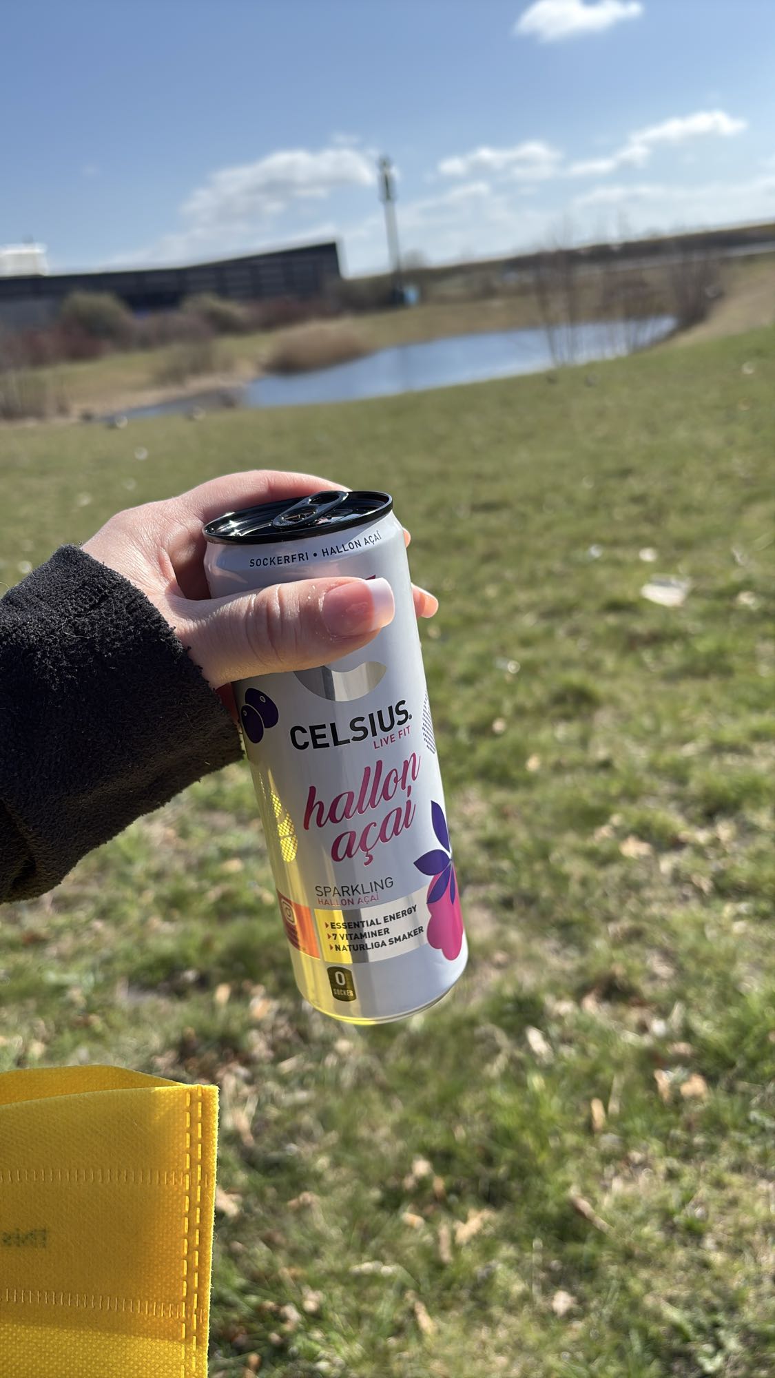 Celsius hallon açai