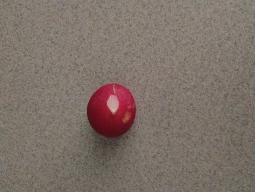 Single red grape