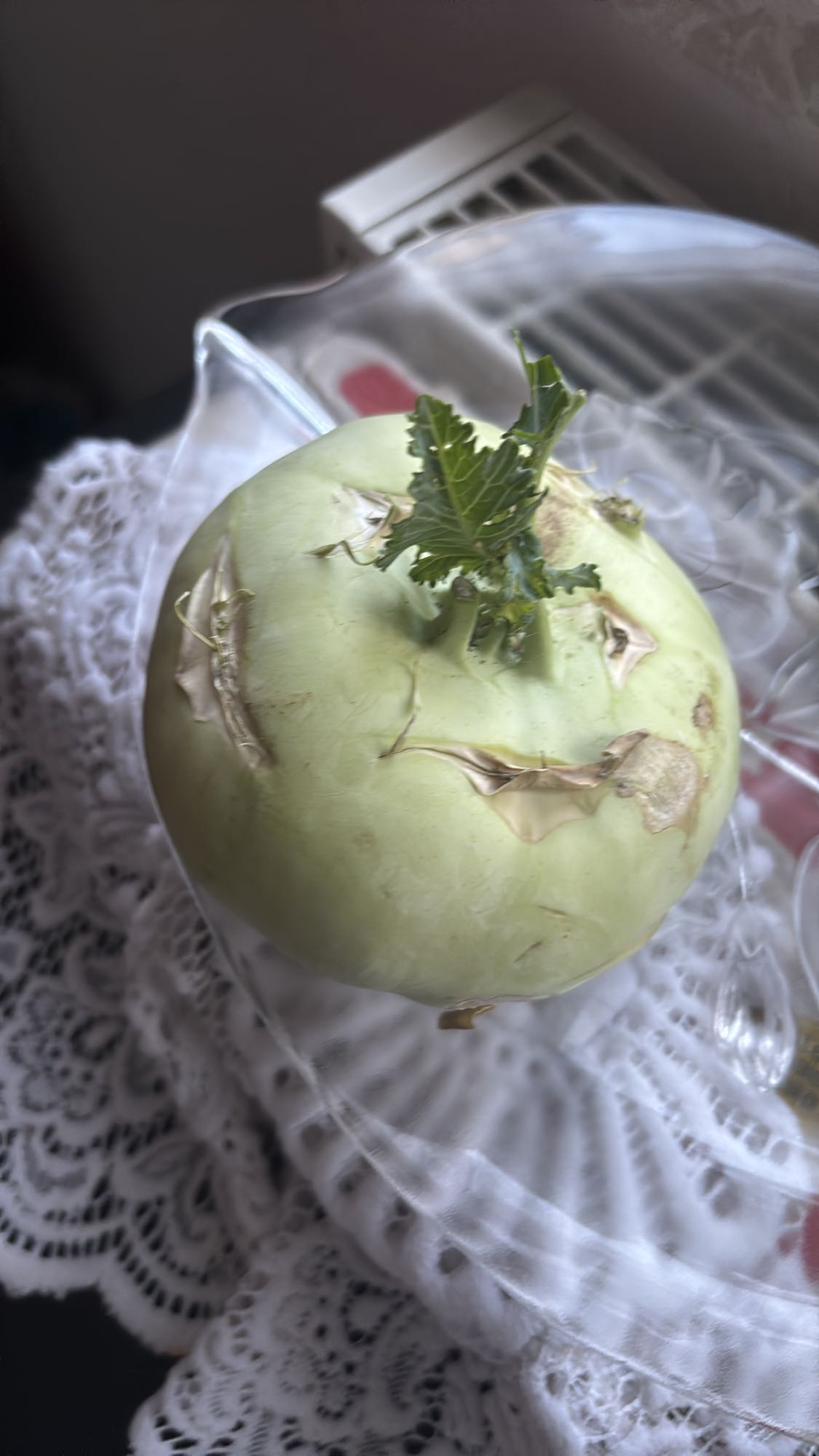 Kohlrabi roh