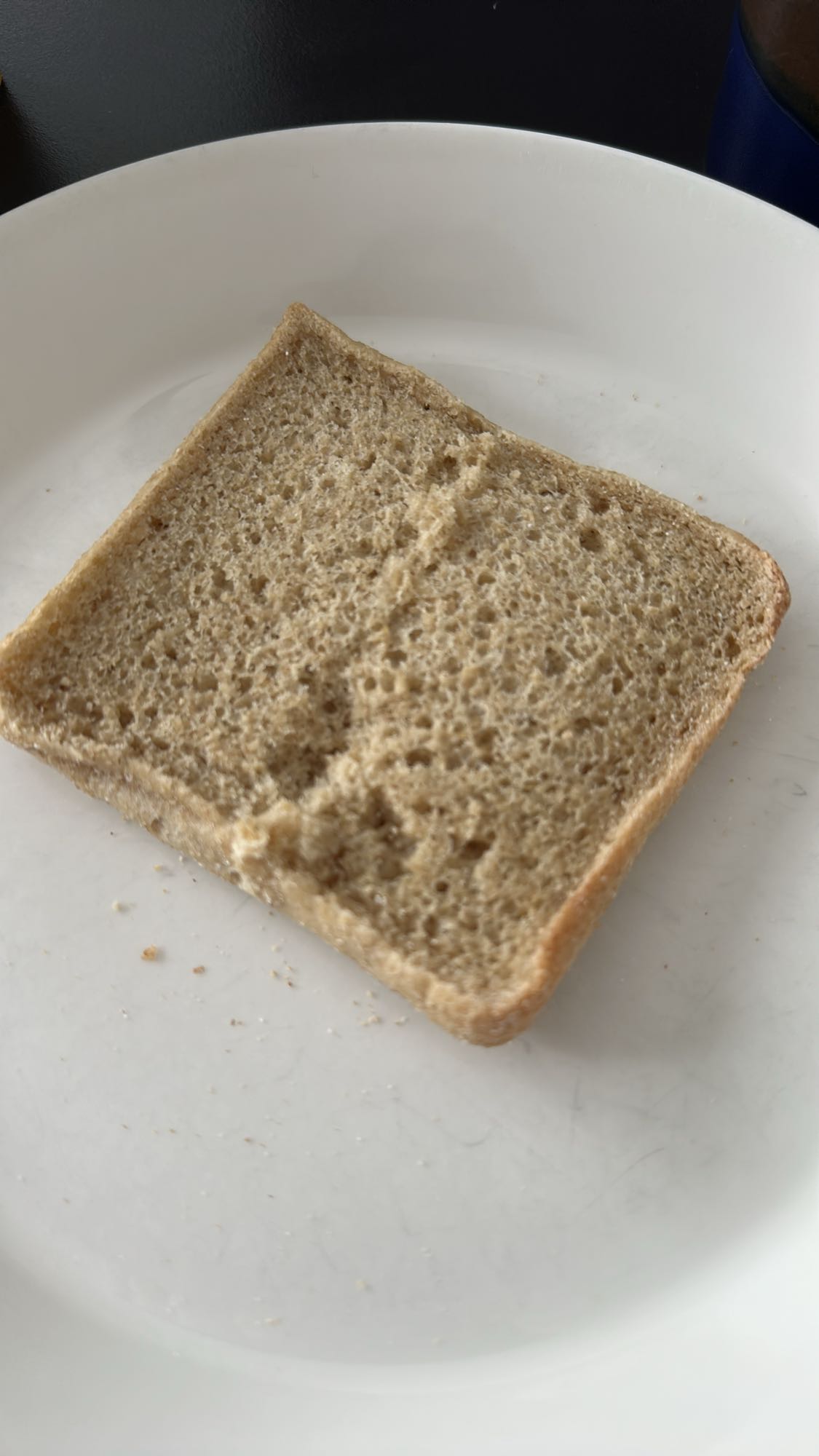 Plain wheat bread slice