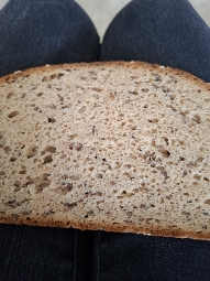 Rebanada de pan integral