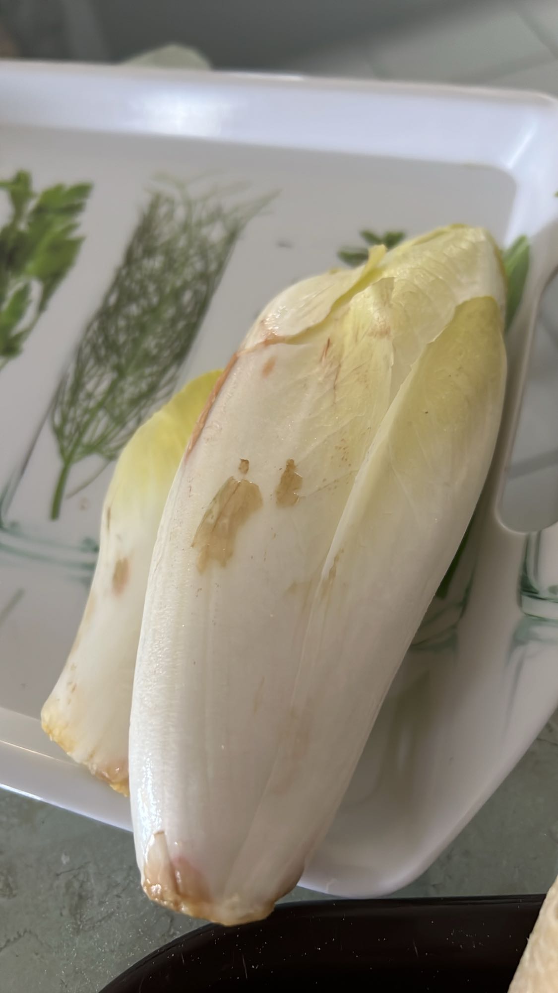 Endives fraîches