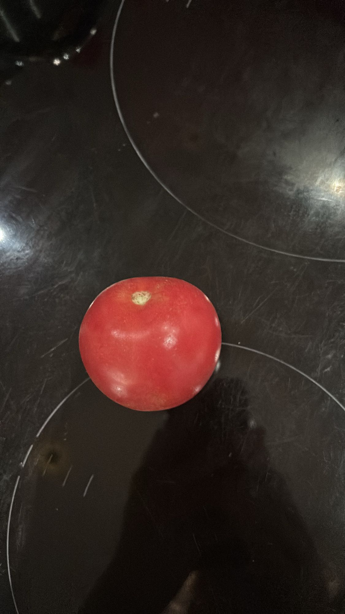 Tomate fresco